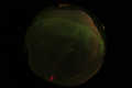 ASC_20070223_014336UT_s.png
