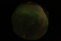ASC_20070223_014406UT_s.png