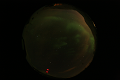 ASC_20070223_014506UT_s.png