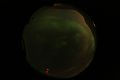 ASC_20070223_014536UT_s.png