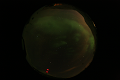 ASC_20070223_014606UT_s.png