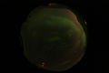ASC_20070223_014706UT_s.png