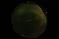 ASC_20070223_014806UT_s.png