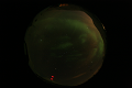 ASC_20070223_014836UT_s.png