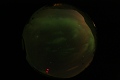 ASC_20070223_014936UT_s.png