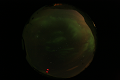ASC_20070223_015006UT_s.png