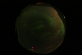 ASC_20070223_015036UT_s.png