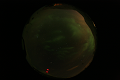 ASC_20070223_015106UT_s.png