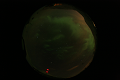 ASC_20070223_015206UT_s.png