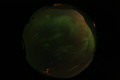 ASC_20070223_015306UT_s.png