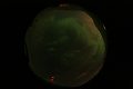ASC_20070223_015336UT_s.png