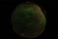 ASC_20070223_015406UT_s.png