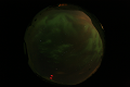 ASC_20070223_015936UT_s.png