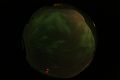 ASC_20070223_020006UT_s.png