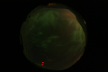 ASC_20070223_020036UT_s.png