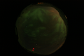ASC_20070223_020136UT_s.png