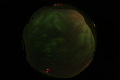 ASC_20070223_020206UT_s.png