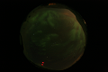 ASC_20070223_020236UT_s.png