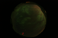 ASC_20070223_020336UT_s.png