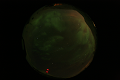 ASC_20070223_020406UT_s.png