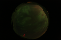 ASC_20070223_020536UT_s.png