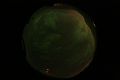 ASC_20070223_020606UT_s.png