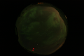 ASC_20070223_021006UT_s.png