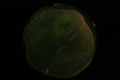 ASC_20070223_021906UT_s.png