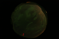 ASC_20070223_022006UT_s.png