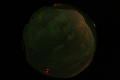 ASC_20070223_022236UT_s.png