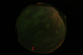 ASC_20070223_022436UT_s.png