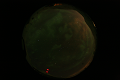 ASC_20070223_022636UT_s.png