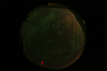 ASC_20070223_022706UT_s.png