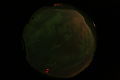 ASC_20070223_022736UT_s.png