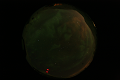 ASC_20070223_022806UT_s.png