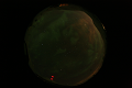 ASC_20070223_022836UT_s.png