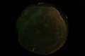ASC_20070223_023036UT_s.png