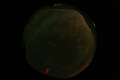 ASC_20070223_023636UT_s.png