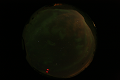 ASC_20070223_023806UT_s.png