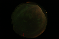 ASC_20070223_023836UT_s.png