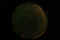 ASC_20070223_024006UT_s.png