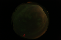 ASC_20070223_024436UT_s.png