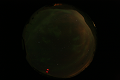 ASC_20070223_024706UT_s.png