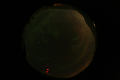 ASC_20070223_024906UT_s.png