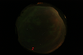 ASC_20070223_025006UT_s.png
