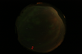 ASC_20070223_025106UT_s.png