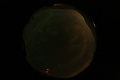 ASC_20070223_025406UT_s.png