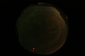 ASC_20070223_025536UT_s.png