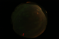 ASC_20070223_025806UT_s.png