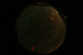ASC_20070223_025836UT_s.png